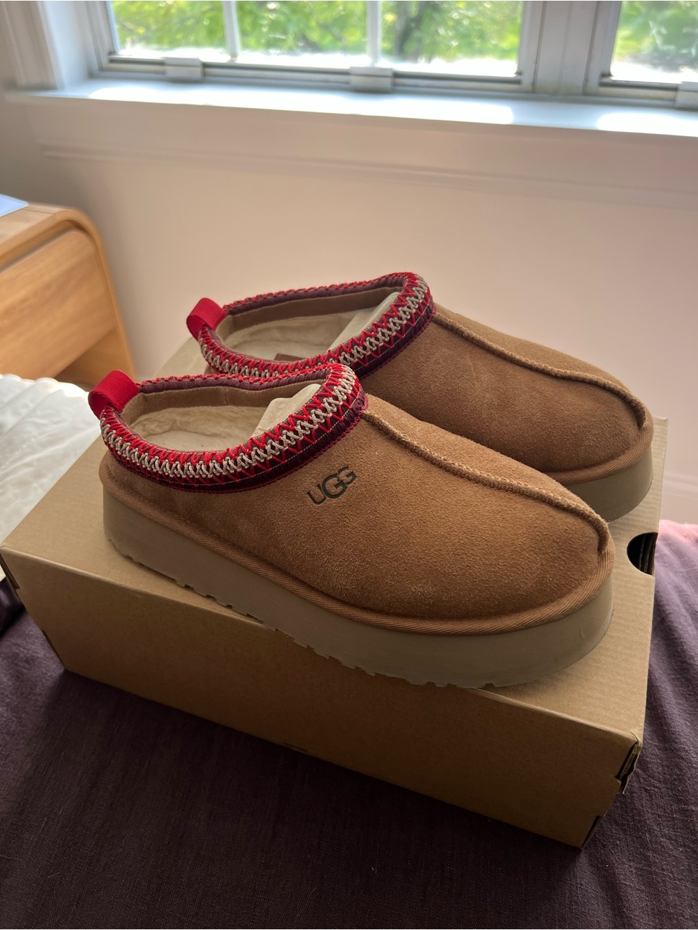 UGG Tazz in Chestnut